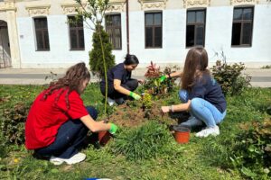 WhatsApp Image 2026-04-17 at 11.17.27 (1)